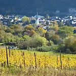 Vakantiehuis Moselhaeuschen By Interhome *