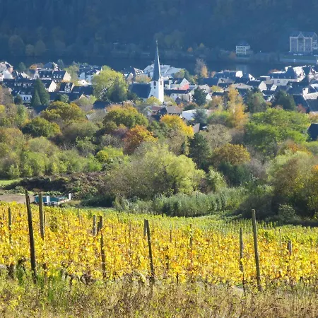 펜션 Moselhaeuschen By Interhome *