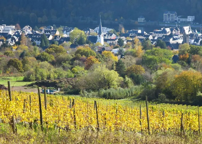 Casa de Férias Moselhaeuschen By Interhome *